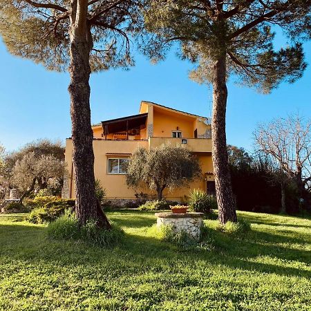 Cesano Il Casale Di Gardenia Bed & Breakfast エクステリア 写真