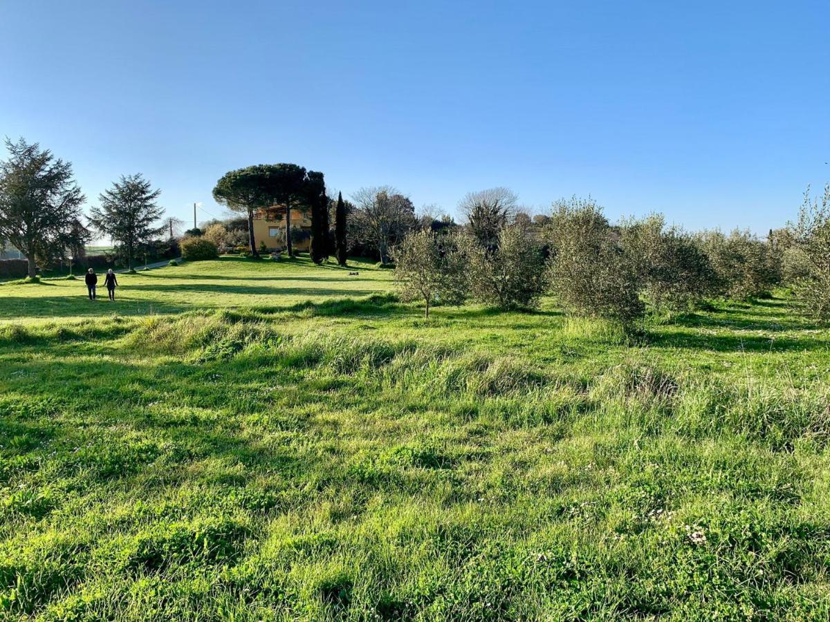 Cesano Il Casale Di Gardenia Bed & Breakfast エクステリア 写真