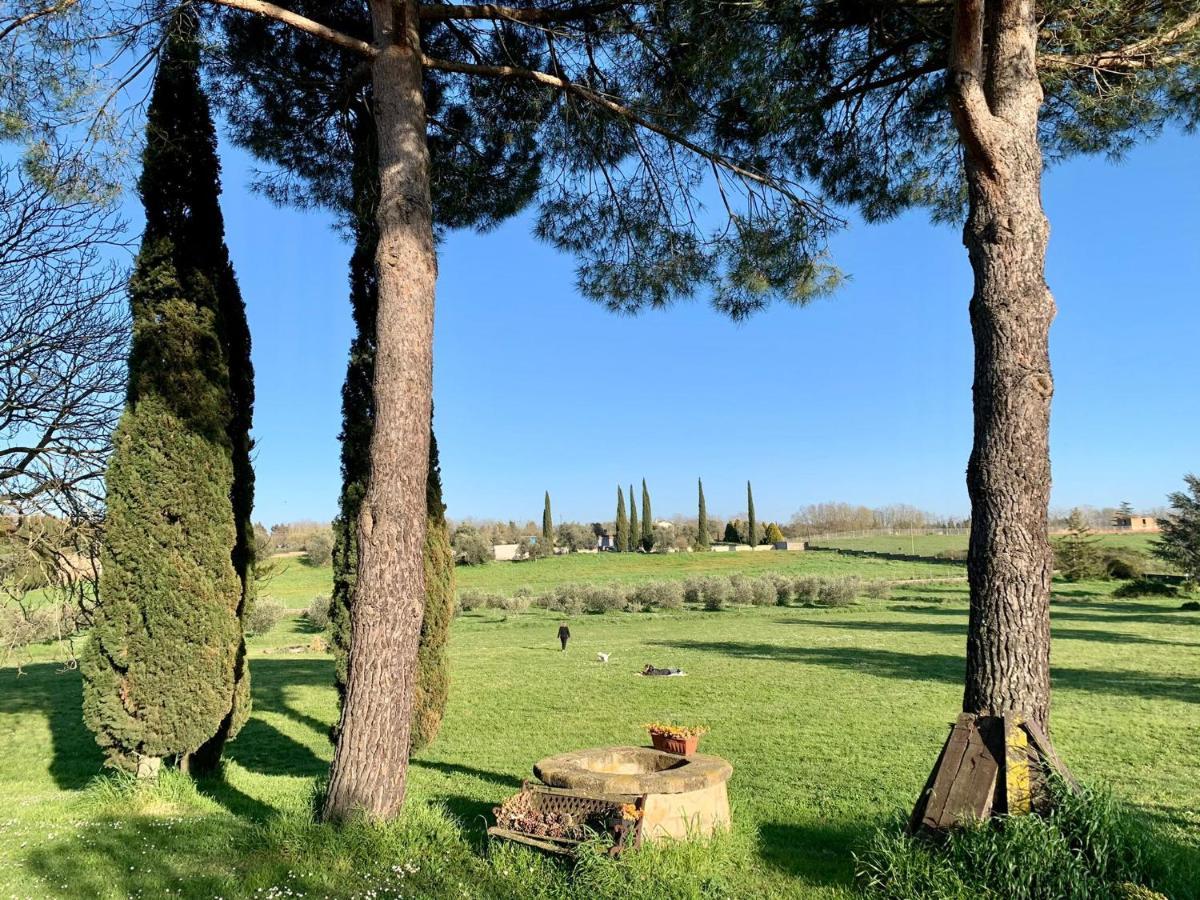 Cesano Il Casale Di Gardenia Bed & Breakfast エクステリア 写真
