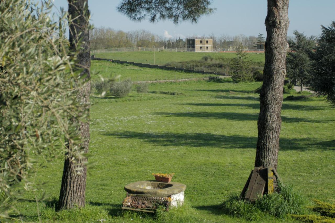 Cesano Il Casale Di Gardenia Bed & Breakfast エクステリア 写真